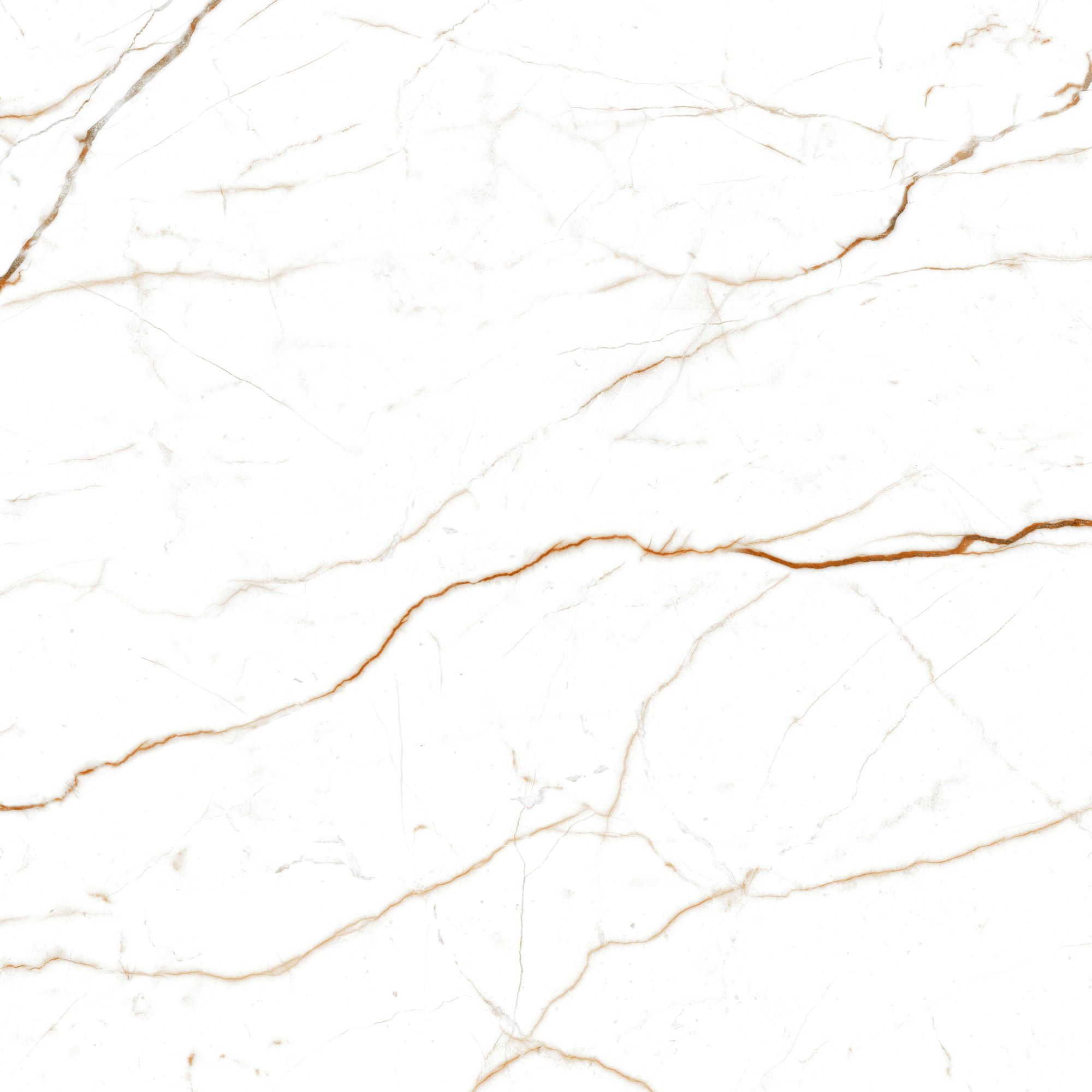 Porcelanato 71x71 Calacatta Oro Polido Retificado Savane